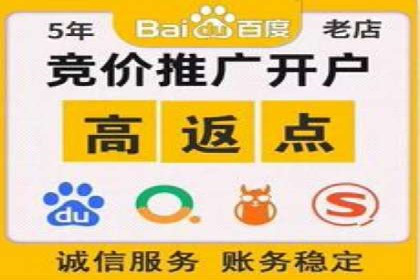 竞价推广中的数据监控与分析：某行业头部企业的成功经验